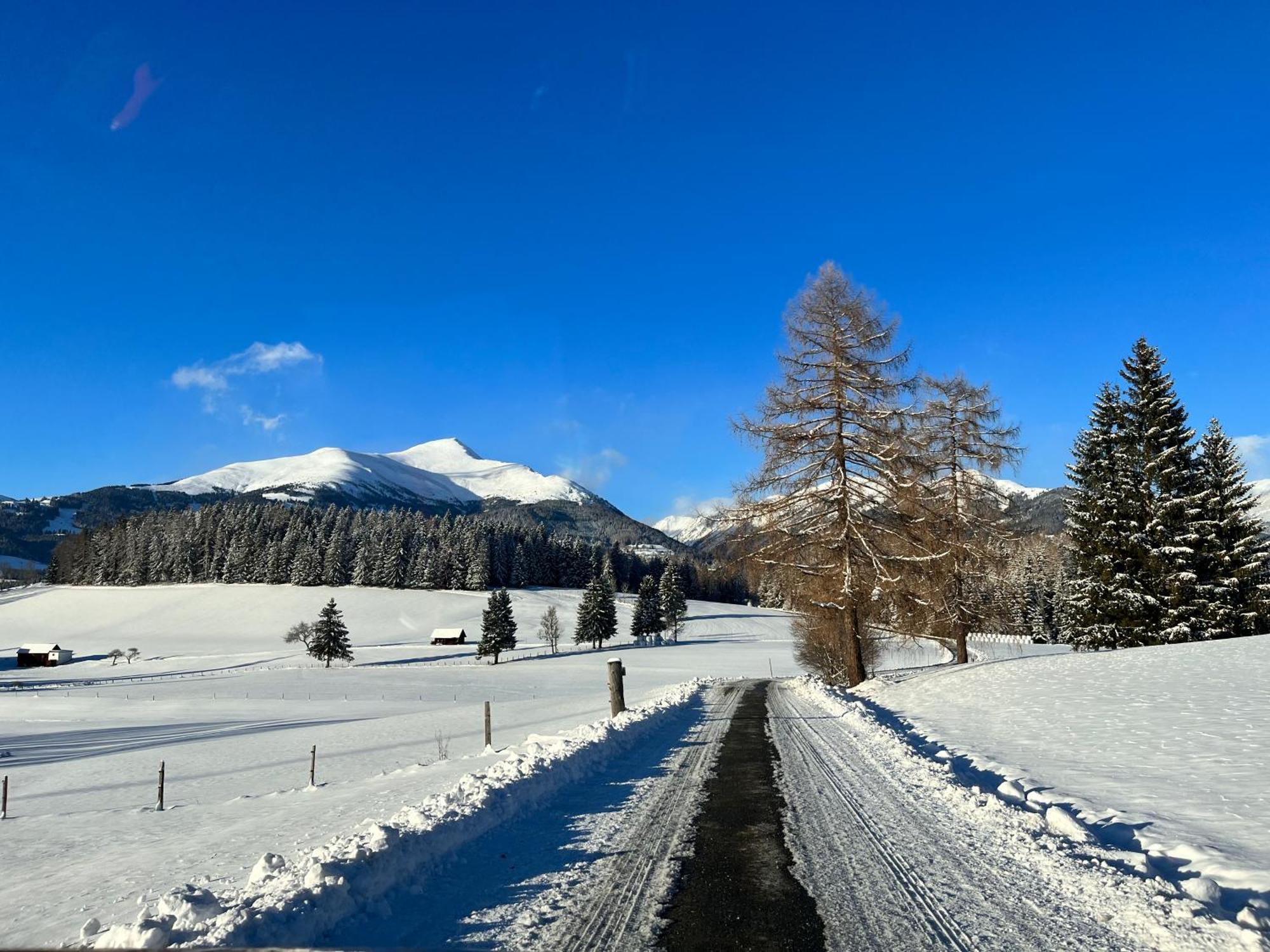 Chalet Am Teich Familie Gaenser Villa Feistritz am Kammersberg Exteriör bild