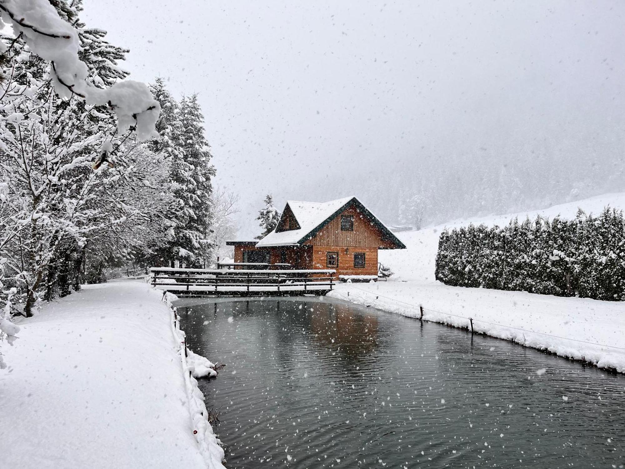 Chalet Am Teich Familie Gaenser Villa Feistritz am Kammersberg Exteriör bild