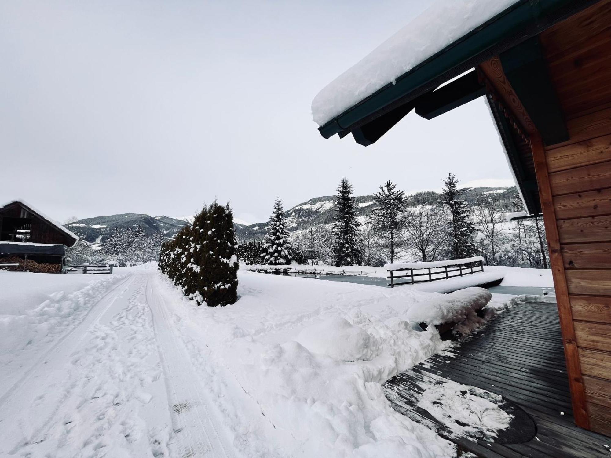 Chalet Am Teich Familie Gaenser Villa Feistritz am Kammersberg Exteriör bild