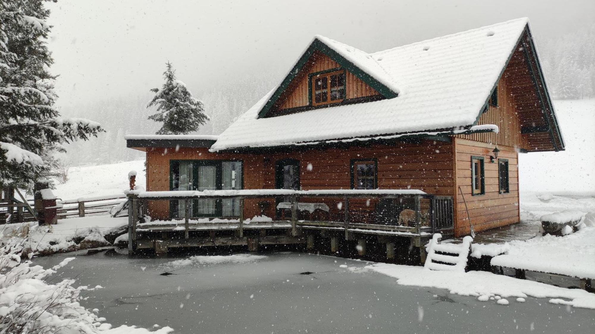Chalet Am Teich Familie Gaenser Villa Feistritz am Kammersberg Exteriör bild